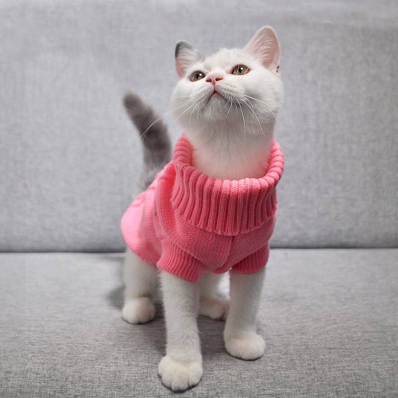 Cat's Turtleneck Knitted Sweater