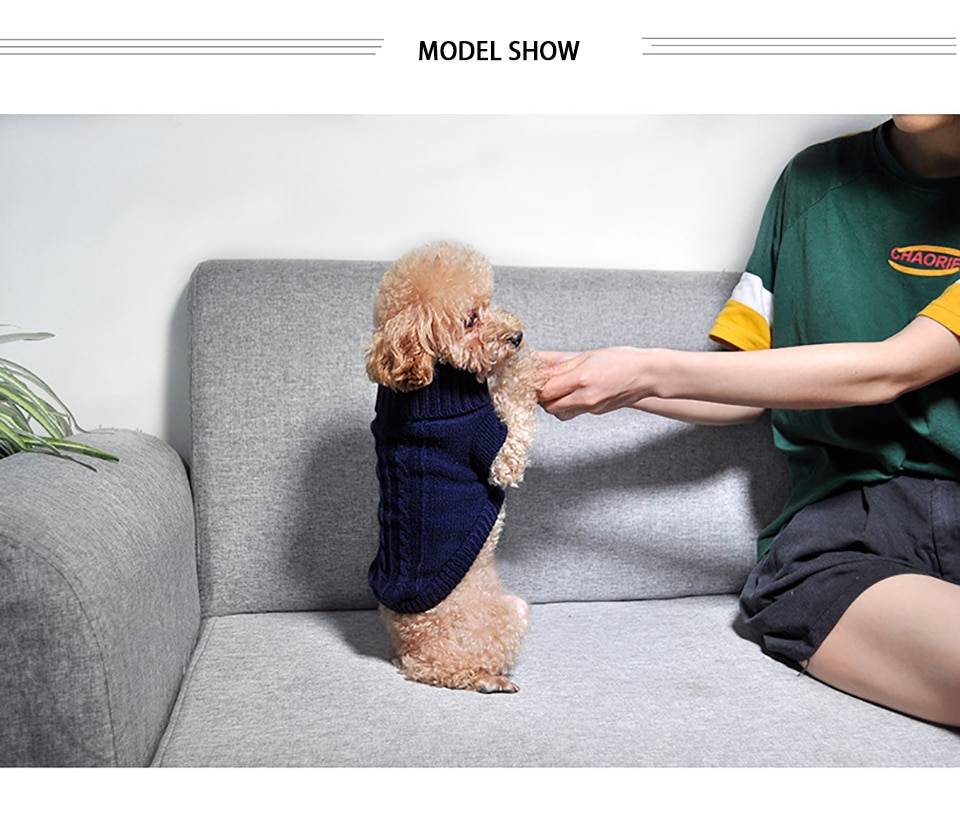 Cat's Turtleneck Knitted Sweater