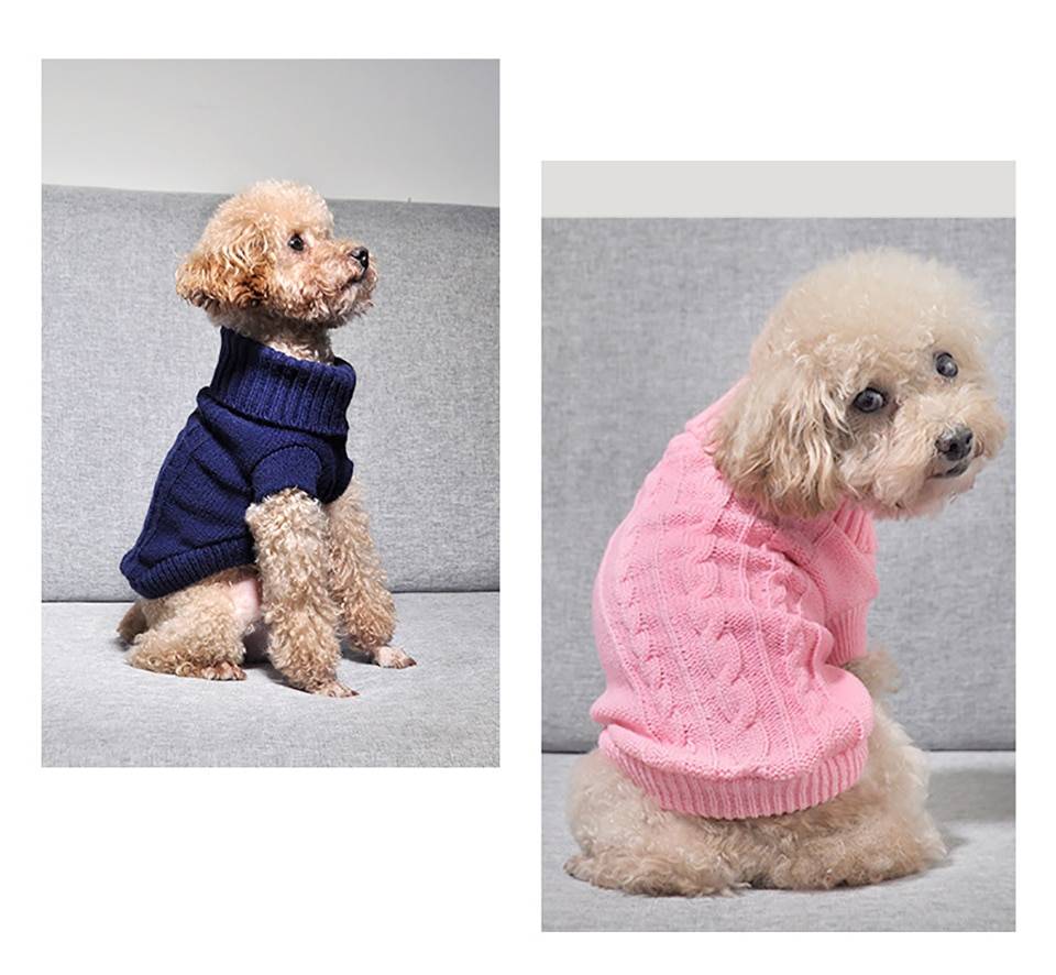 Cat's Turtleneck Knitted Sweater