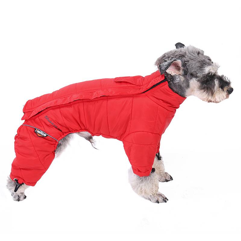Dog's Waterproof Colorful Jumpsuit