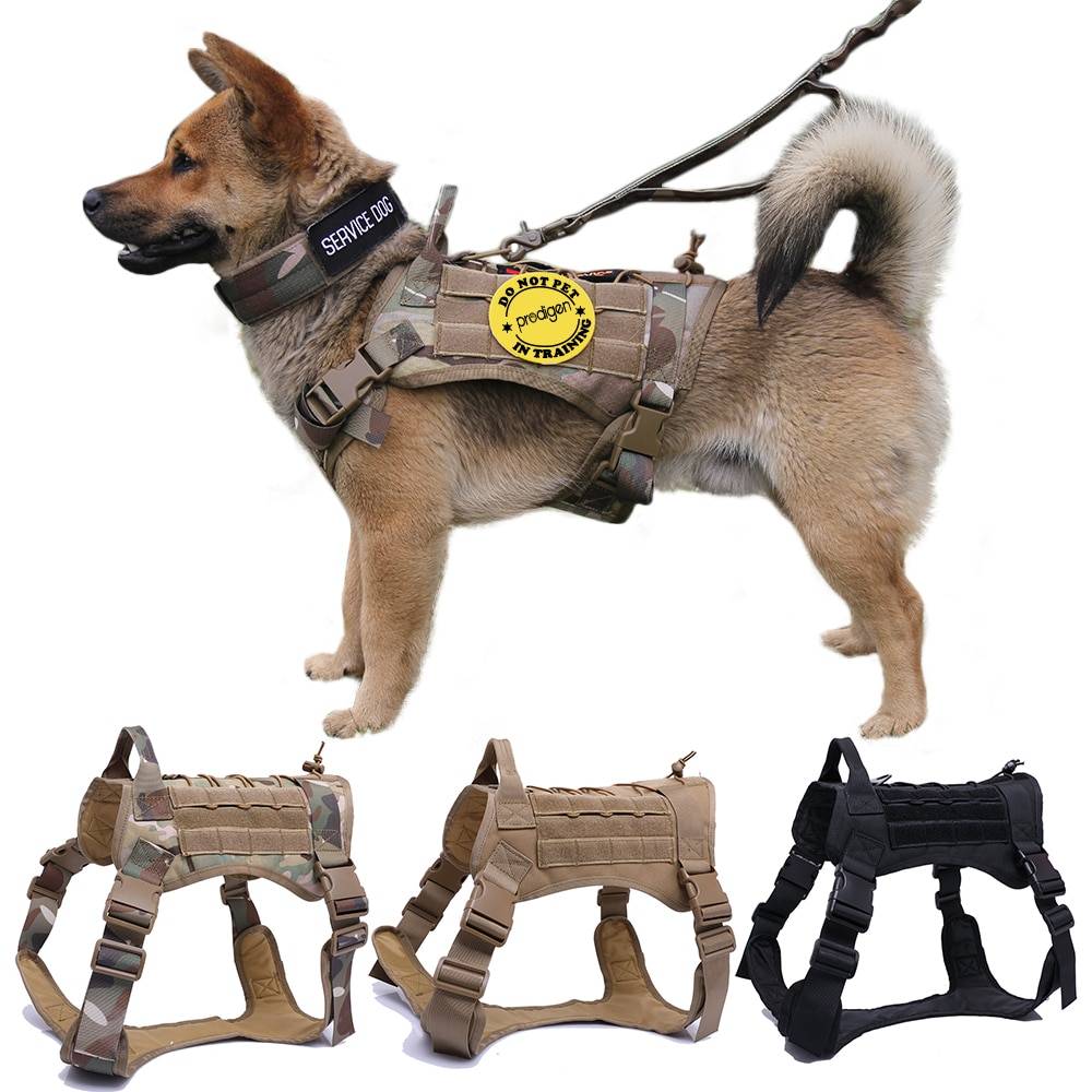 Dog Harness and Leash Set With Nylon Handle Dogs Harnesses & Collars Color : Camouflage Harness|Ranger Green Harness|Brown Harness|Black Harness|CP Harness and Leash|RG Harness and Leash|BW Harness and Leash|BK Harness and Leash Dog Harness and Leash Set With Nylon Handle Dogs Harnesses & Collars Color : Camouflage Harness|Ranger Green Harness|Brown Harness|Black Harness|CP Harness and Leash|RG Harness and Leash|BW Harness and Leash|BK Harness and Leash