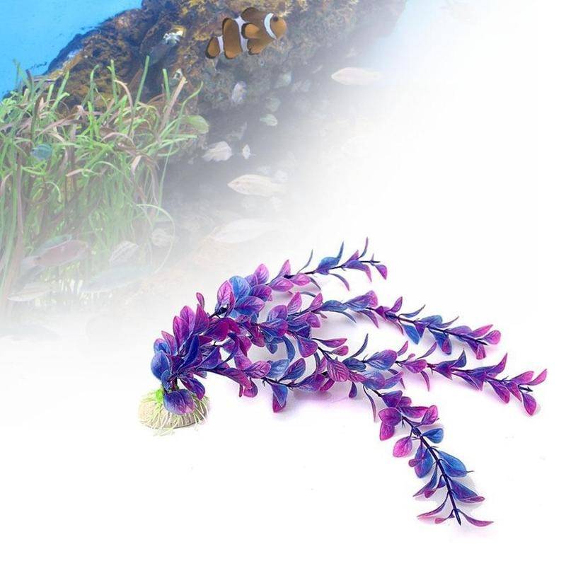 Dercorative Purple Plant for Aquarium