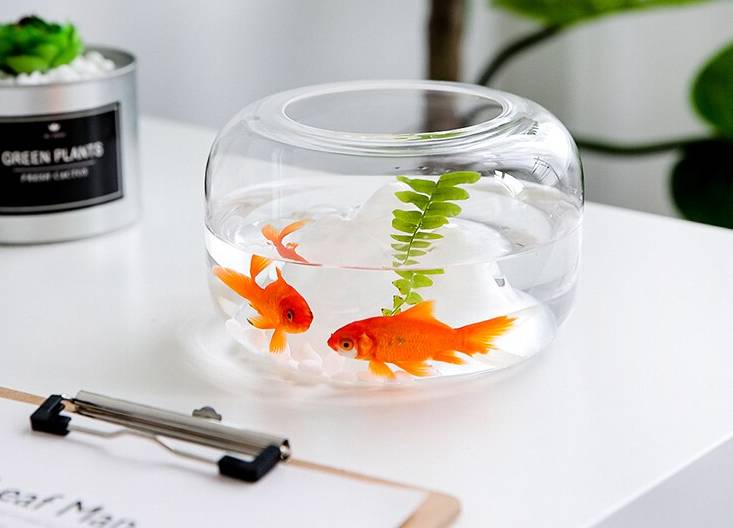 Glass Fish Bowl with Mountain Decoration