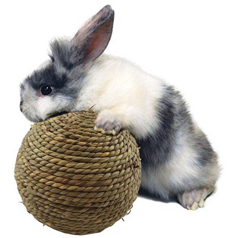 Straw Rope Ball Chew Toy