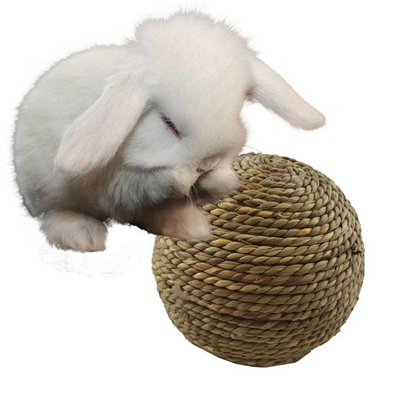 Straw Rope Ball Chew Toy