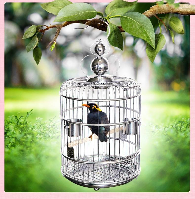 Large Vintage Stainless Steel Bird Cage