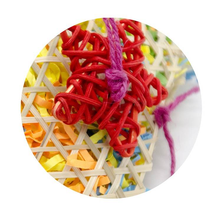 Hanging Toy for Parrots