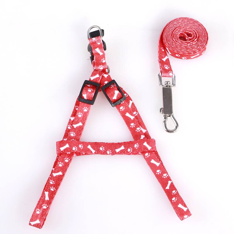 Paws harness and leash