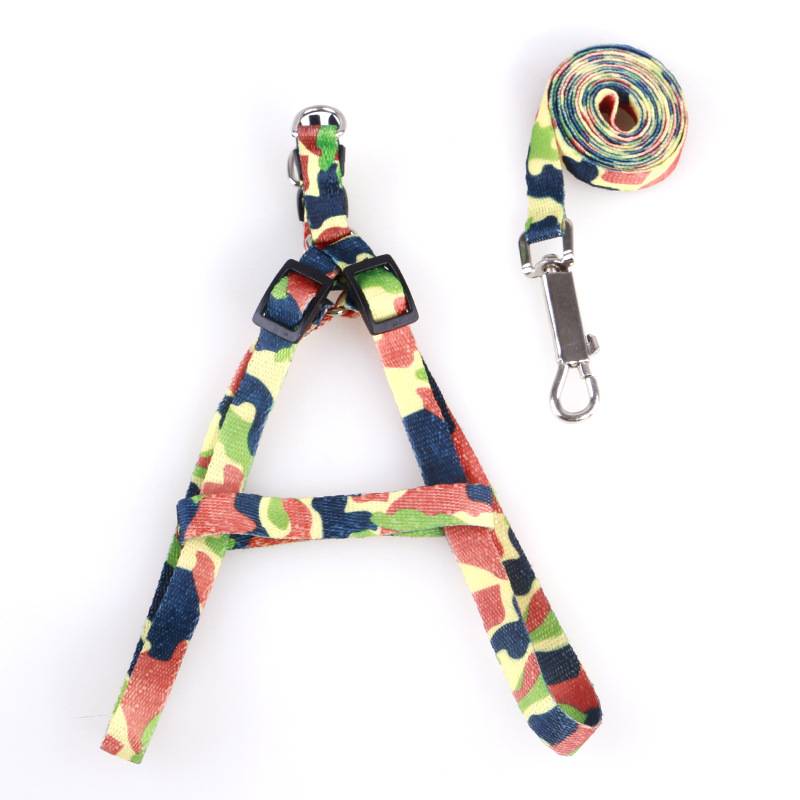 Camo harness and leash