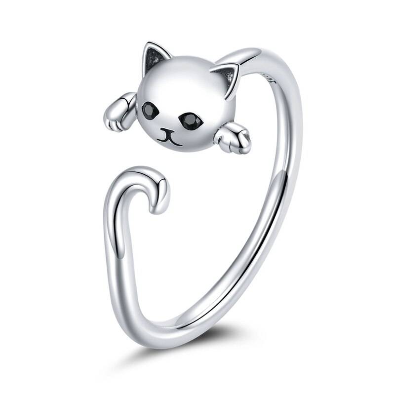 Cat watching ring